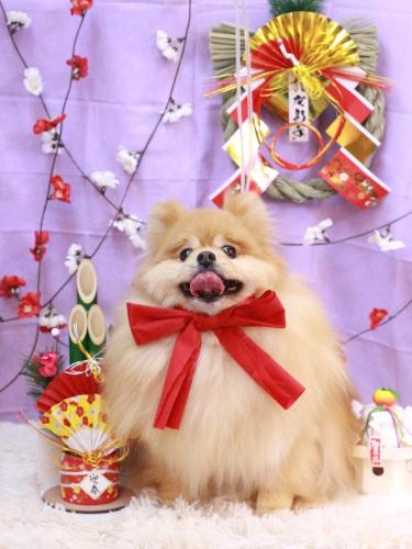 20230113梛都ちゃん